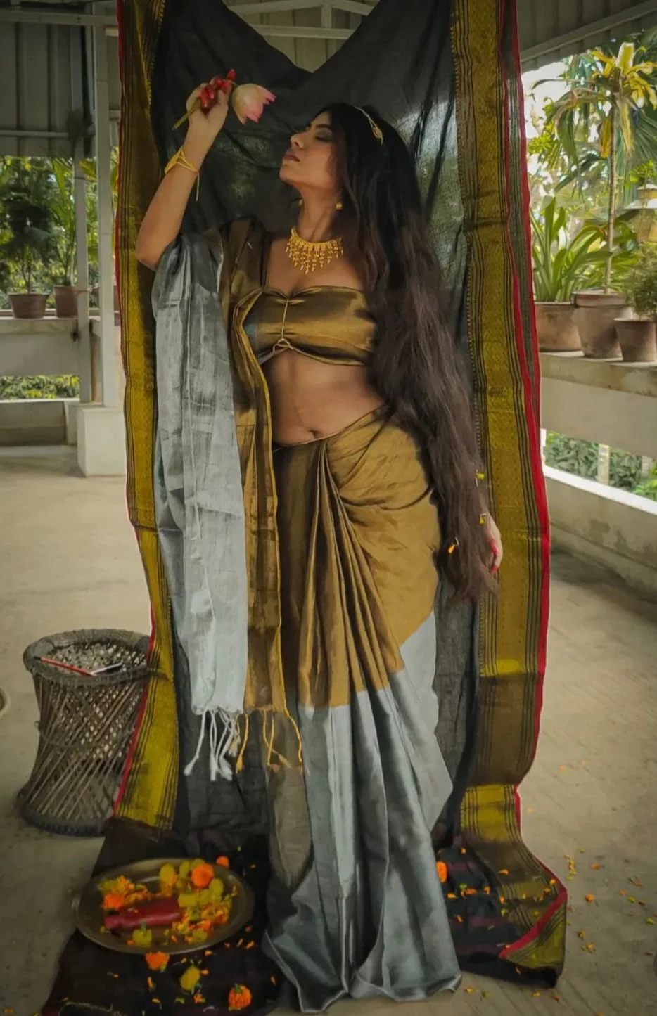 Women Tissue Mul Cottton Saree
